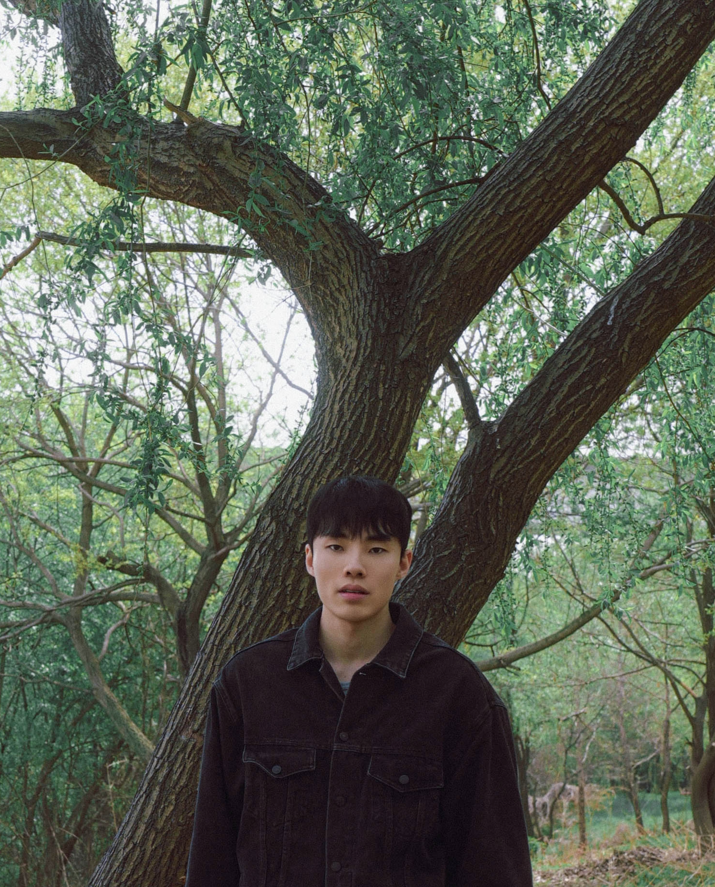 Xeno Park